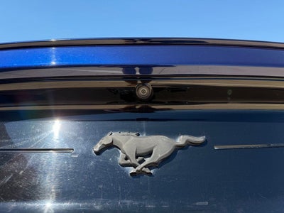 2019 Ford Mustang EcoBoost 6 Spd Manual