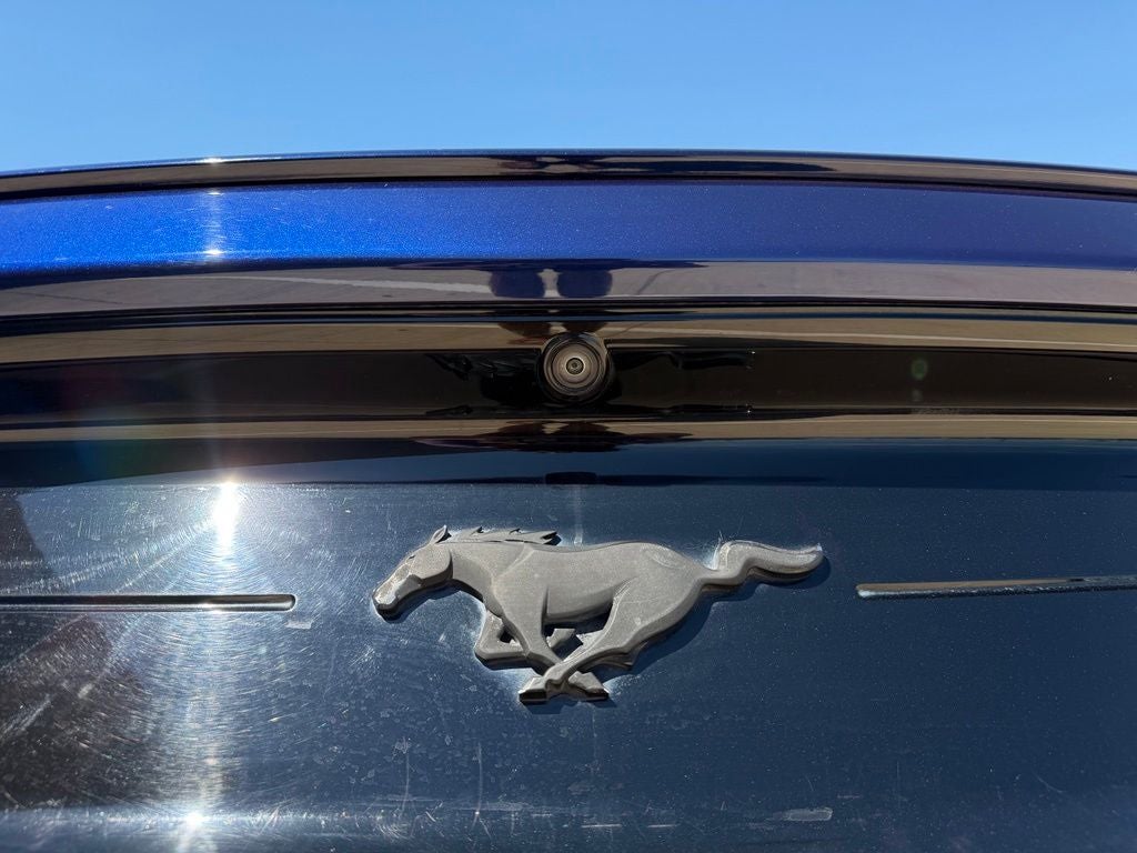 2019 Ford Mustang EcoBoost 6 Spd Manual