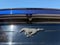 2019 Ford Mustang EcoBoost 6 Spd Manual