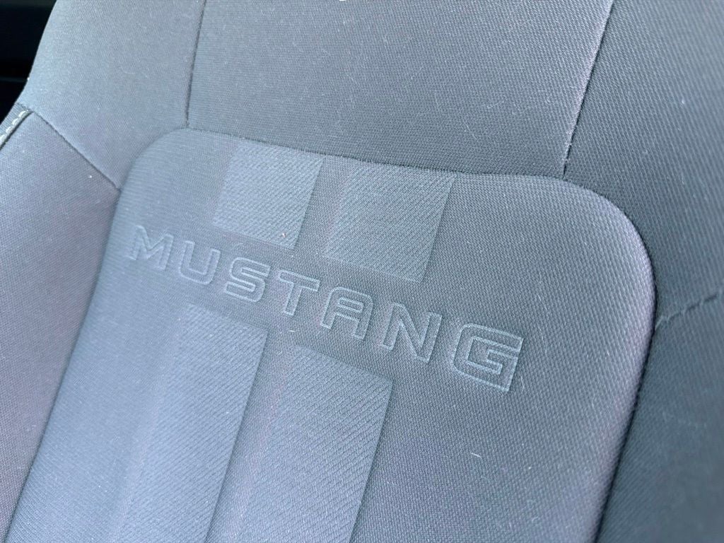 2019 Ford Mustang EcoBoost 6 Spd Manual