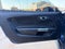 2019 Ford Mustang EcoBoost 6 Spd Manual