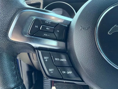 2019 Ford Mustang EcoBoost 6 Spd Manual
