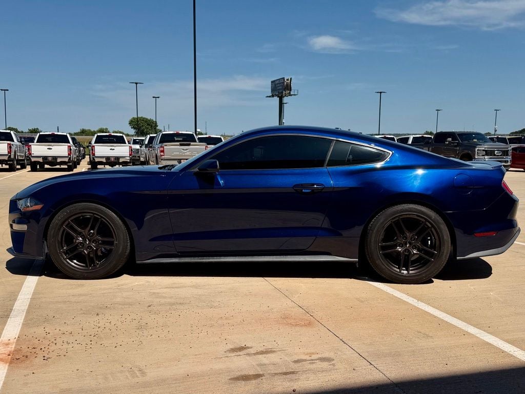 2019 Ford Mustang EcoBoost 6 Spd Manual