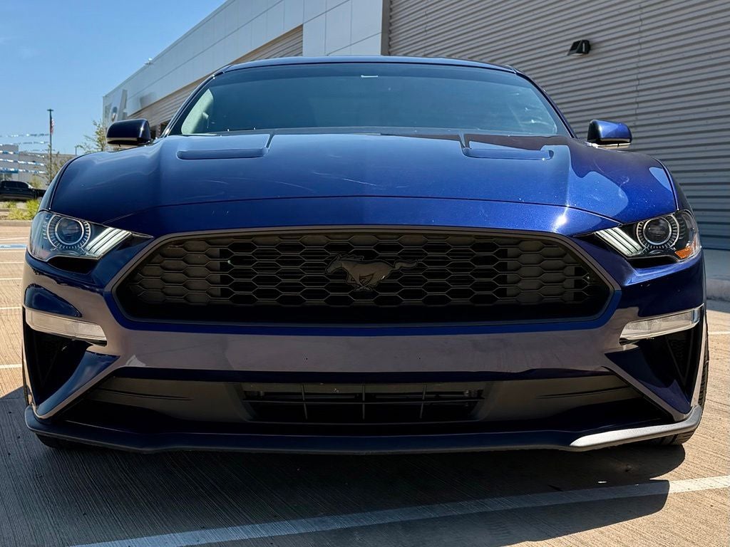 2019 Ford Mustang EcoBoost 6 Spd Manual