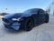 2019 Ford Mustang EcoBoost 6 Spd Manual