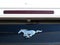 2022 Ford Mustang EcoBoost Premium Convertible