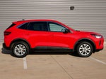 2024 Ford Escape Active AWD | Cold Weather Pkg