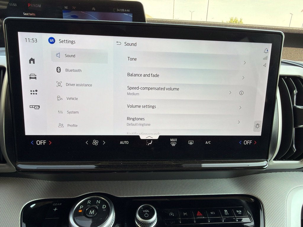 2025 Ford Expedition Active 8 Passenger