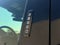 2019 Ford F-150 XLT 4WD | 3.5L EcoBoost