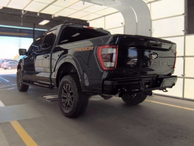2023 Ford F-150 Tremor 3.5L EcoBoost