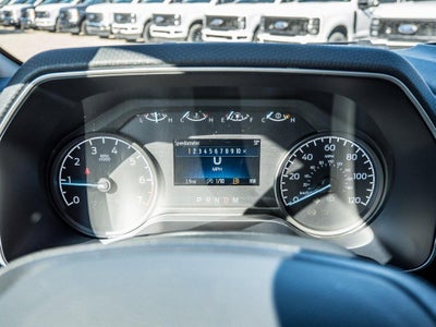 2023 Ford F-150 XL STX | EcoBoost