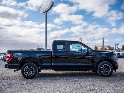 2023 Ford F-150 XL STX | EcoBoost