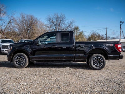 2023 Ford F-150 XL STX | EcoBoost