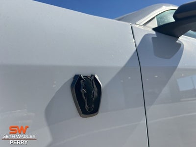 2025 Ford Mustang Dark Horse