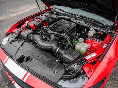 2025 Ford Mustang GT Premium SHELBY SUPER SNAKE