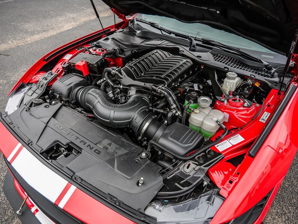 2025 Ford Mustang GT Premium SHELBY SUPER SNAKE