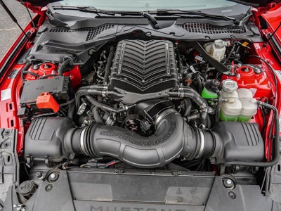 2025 Ford Mustang GT Premium SHELBY SUPER SNAKE
