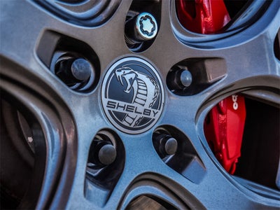 2025 Ford Mustang GT Premium Shelby