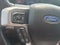 2020 Ford F-250SD Platinum FX4