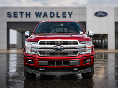 2019 Ford F-150 Platinum
