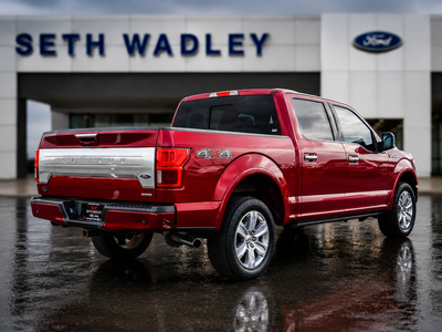 2019 Ford F-150 Platinum