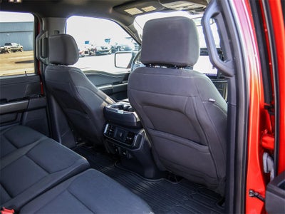 2023 Ford F-150 XLT FX4