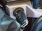 2023 Ford F-150 XL FX4