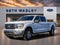 2023 Ford F-150 XLT FX4