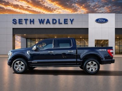 2021 Ford F-150 Platinum
