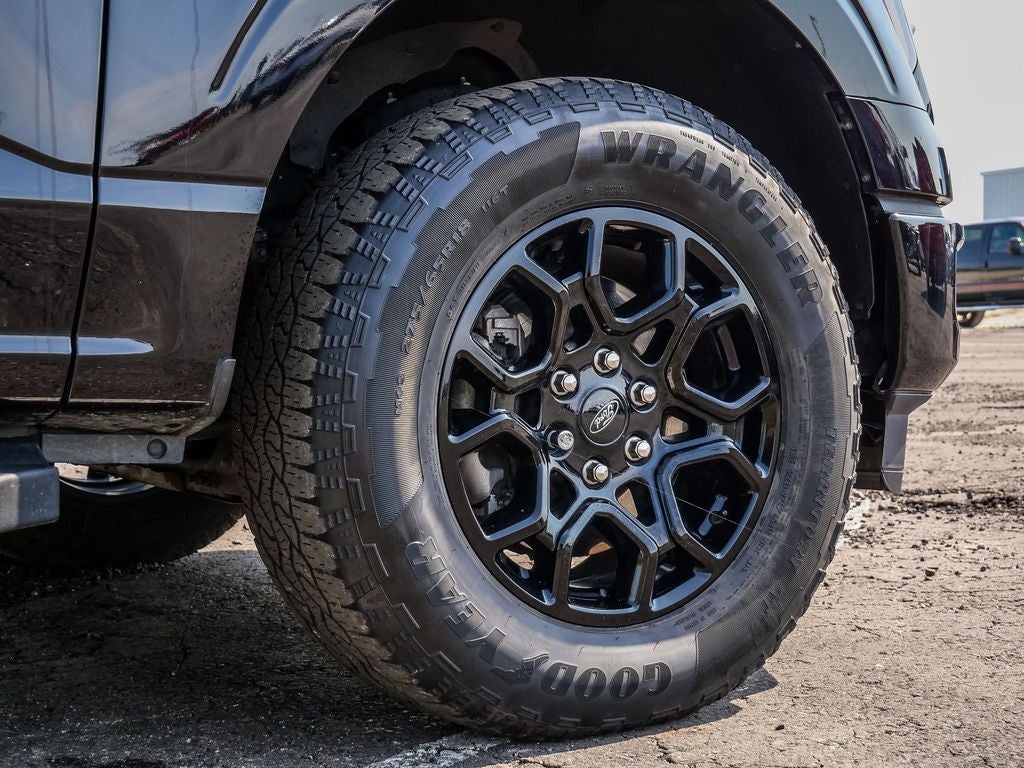 2024 Ford F-150 XLT FX4