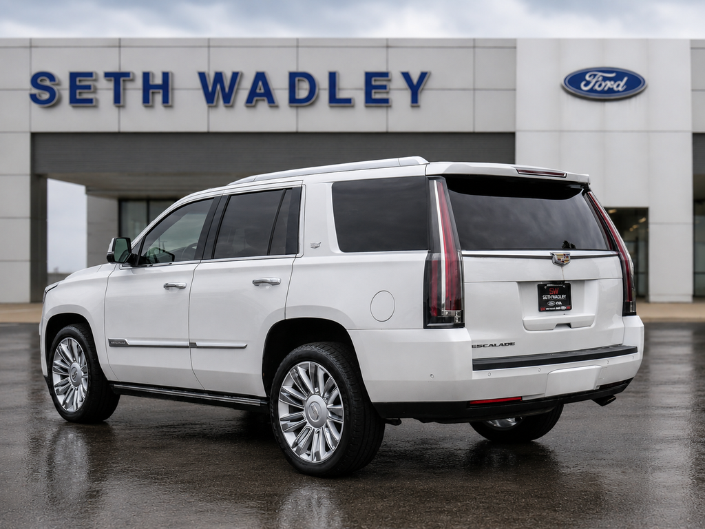 2017 Cadillac Escalade Platinum Edition