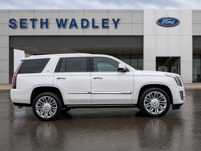2017 Cadillac Escalade Platinum Edition