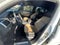 2021 Volkswagen Atlas Cross Sport 2.0T SE w/Technology