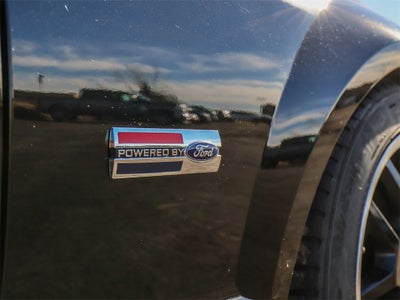 2007 Ford Mustang GT Premium Shelby Signature