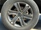 2023 Ford F-150 XLT FX4 | EcoBoost