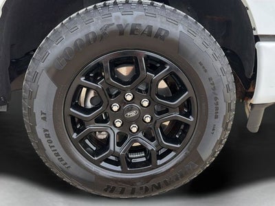 2025 Ford F-150 STX 4WD | EcoBoost