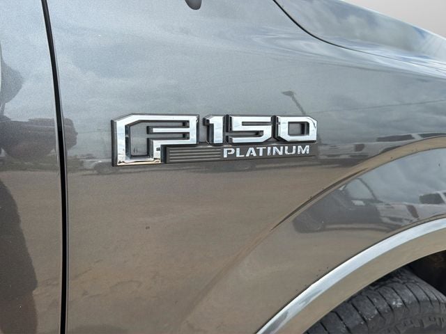 2019 Ford F-150 Platinum