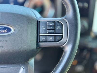 2022 Ford F-150 Black Widow