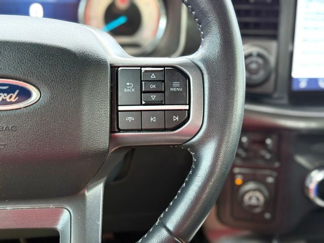 2022 Ford F-150 Black Widow B&O Sound 8 Speaker