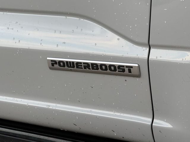 2023 Ford F-150 Platinum Black Appearance | Bluecruise