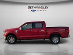 2024 Ford F-150 XLT 4WD | PowerBoost Hybrid | Mobile Office Pkg