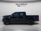 2024 Ford F-150 Platinum 4WD | 3.5L PowerBoost