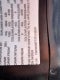 2024 Chevrolet Express 2500 Explorer Conversion Passenger