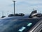 2025 Chevrolet Silverado 2500HD ZR2