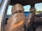 2017 BMW X5 xDrive50i Individual Twin Turbo V8