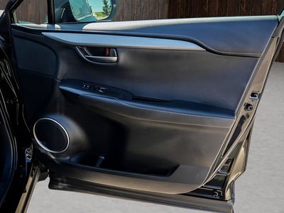 2020 Lexus NX 300 F Sport