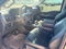 2024 Ford F-150 XLT HERITAGE FX4