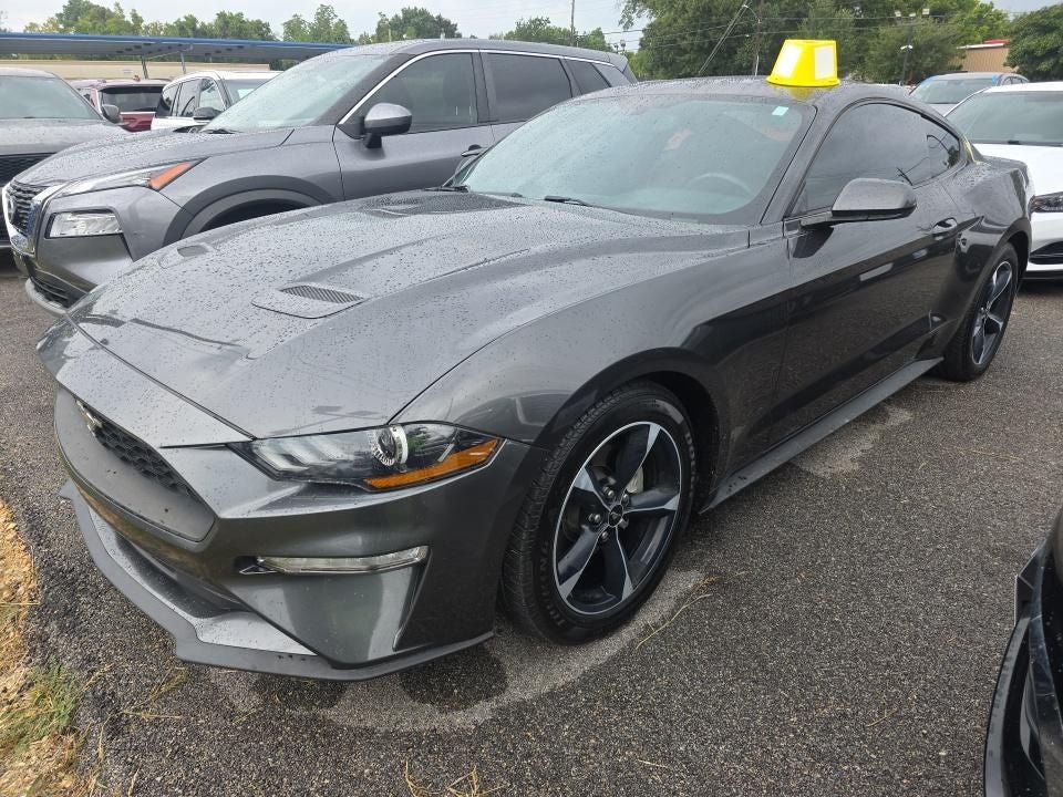 2019 Ford Mustang EcoBoost