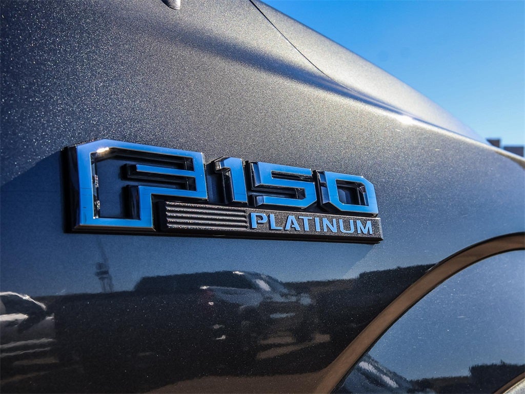 2020 Ford F-150 Platinum FX4