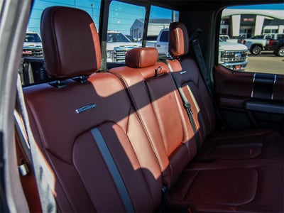 2020 Ford F-150 Platinum FX4